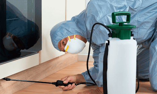 Dedetizadora em Pinheiros Dedetizadora em Pinheiros